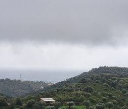 Μονοκατοικία για ενοικίαση - Αμάρυνθος, - Φωτογραφία 6