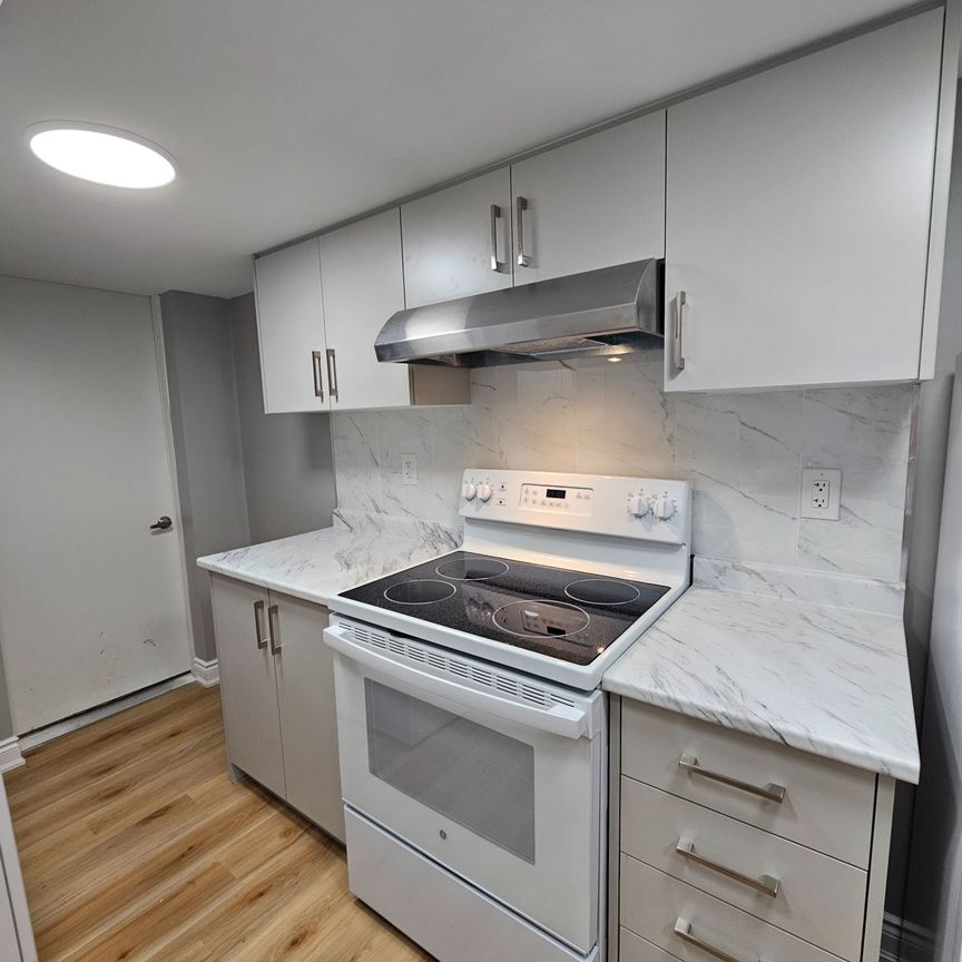 For Lease - 16 concord Drive Unit# BASEMENT, Thorold, Ontario - Photo 1