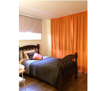 Rua de Ferreira Cardoso, Porto, Braga 4300-198 - Photo 1