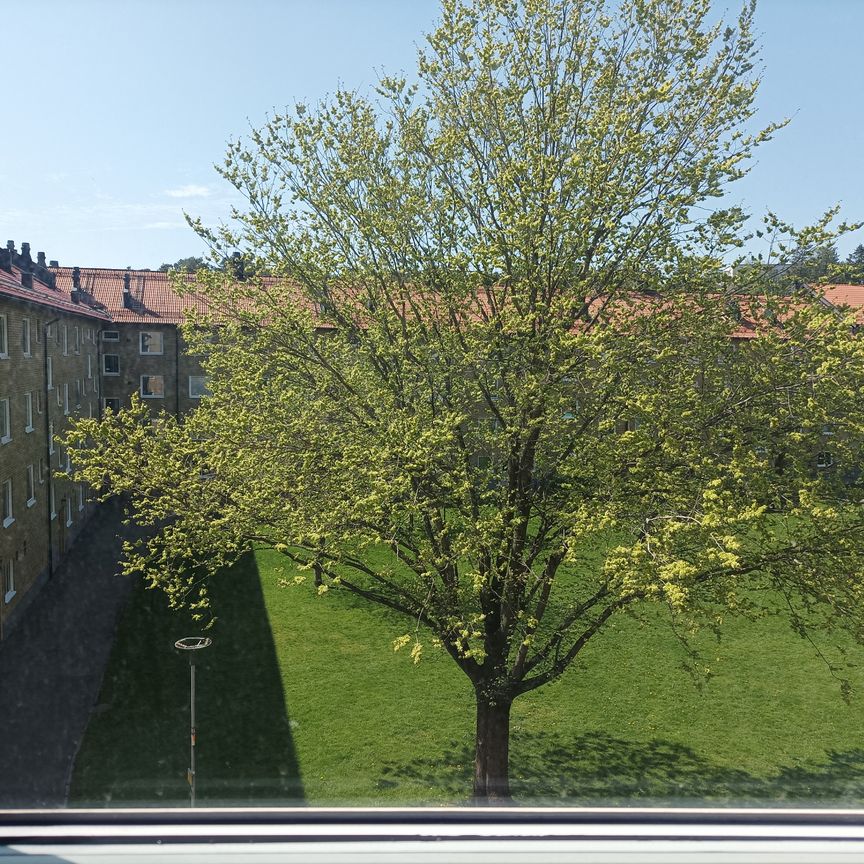 Molnvädersgatan, Göteborg - Foto 1