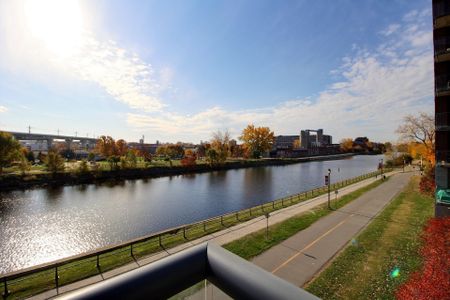 Condo for rent, Montréal (Le Sud-Ouest) - Photo 3