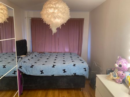 Bruno Liljeforsgatan, Uppsala - Photo 4