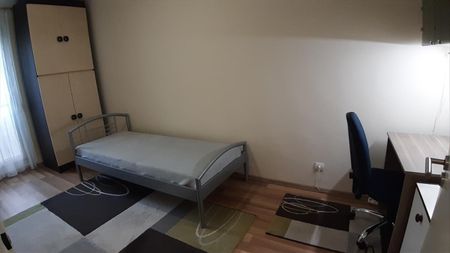 Kiadó felújított panel lakás - Pécs - Fotó 3