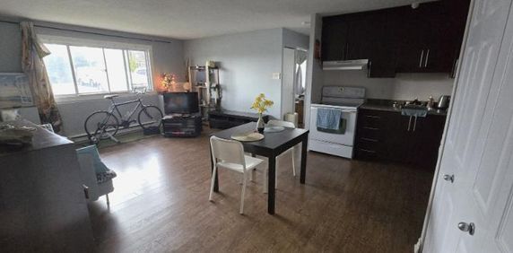 3 1/2 - Gatineau (Aylmer) - 1 595 $/mois - Photo 2