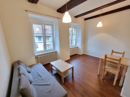 Petit mais agréable, en plein bord de Rhin ! - Photo 3