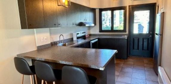 Maison lumineuse, vue partielle fleuve - Photo 2
