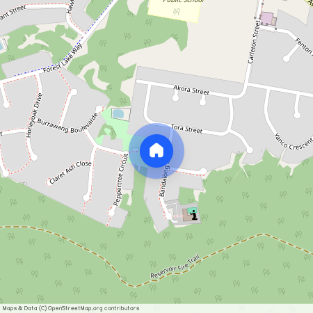 8 Bandalong Street, Toronto 2283, New South Wales