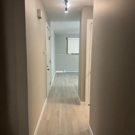 Très beau et paisible 31/2 à louer à St-Eustache - Photo 3