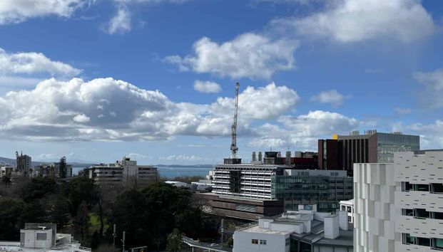 One Bedroom Apartment in Auckland City with Stunning Ocean View for Rent! - Photo 1