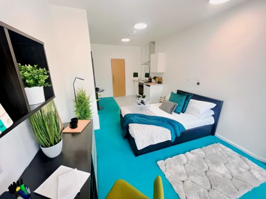 Deluxe Studio - Photo 1