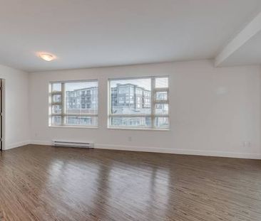 GORGEOUS 1 BDR APT, PET FRIENDLY-RICHMOND - Photo 4