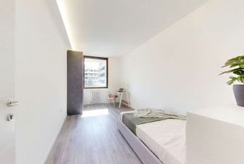Via Luigi Pellizzo, Padova, Veneto 35128