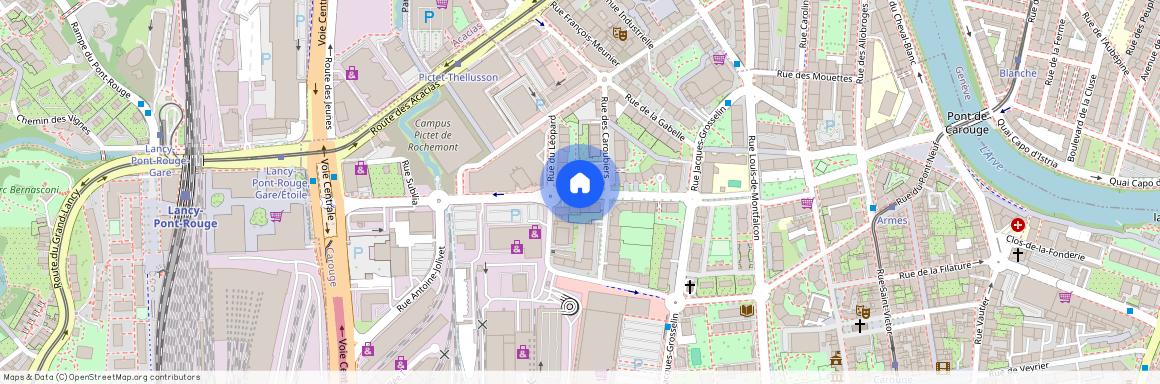 Avenue de la Praille, Carouge GE