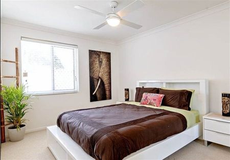 Modern Courtyard Unit - Photo 3