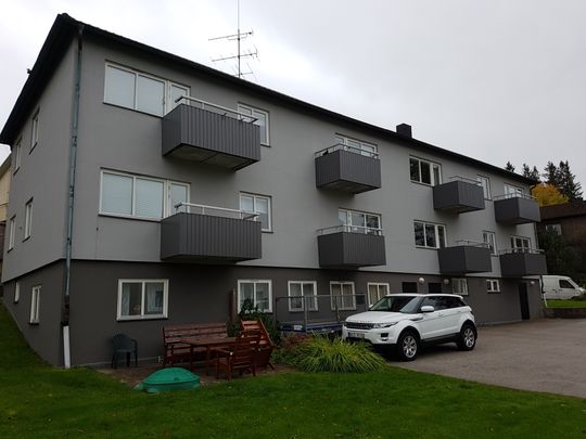 Hedvigsborgsgatan, Borås - Photo 1