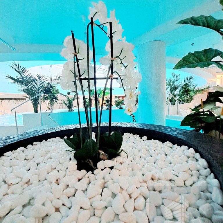 Apartament z balkonem w Hanza Tower - Photo 1