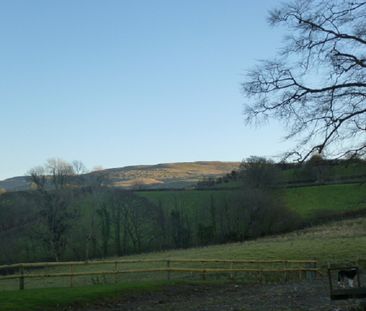 Gwynfe, Llangadog, Carmarthenshire. - Photo 4