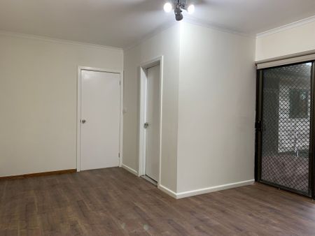 Price Drop--- Full Renovation 4 Bedrooms House - Photo 2