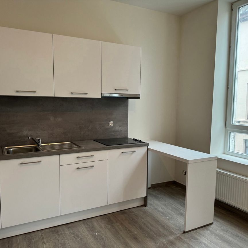 1-slpk-appartement / volledig vernieuwd / goede ligging - Photo 1