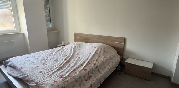 Location Appartement 2 pièces 50m² SARREBOURG 57400 - Photo 2