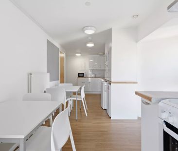 Accessible Ensuite - Photo 5