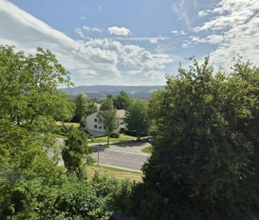 Erstbezug am Greifensee - zwei hochwertige 4½-Zimmerwohnungen in Uster - Photo 3