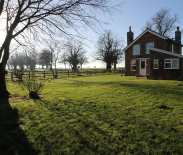 2 bedroom detached house to rent - Photo 4