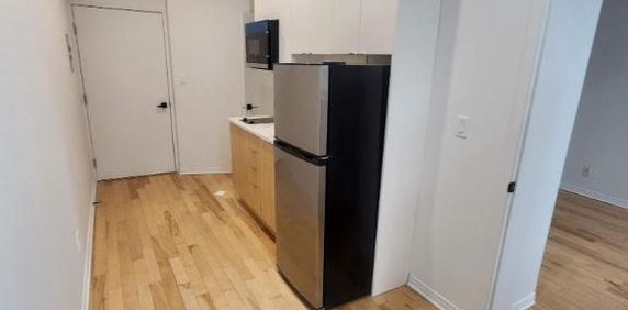 1 CH - 1 SDB - Montréal - $1,245 /mo - Photo 2