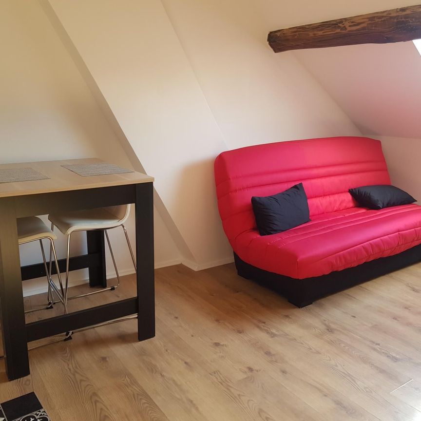 Location Appartement 1 pièce 21m² COULOMMIERS 77120 - Photo 1