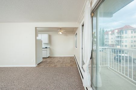 Diplomat Manor - Photo 4