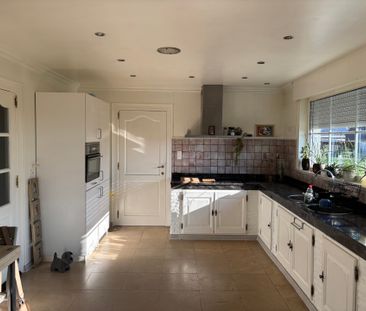 MASSEMEN - rustig gelegen benedenwoning - Photo 2