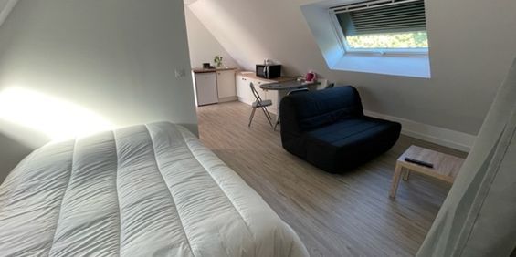 Appartement 1 pièce – 20 m² environ à Vannes (ref : 34360) - Photo 3