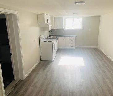 933 Auden Park Drive - Lower - 2 bed + den, 1 bath ALL INCLUSIVE - Photo 5