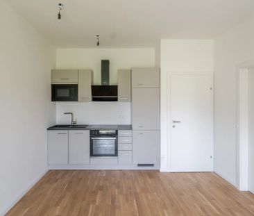 Sofort einziehen: Sonnige Gartenwohnung mit Tiefgaragenplatz - Foto 3