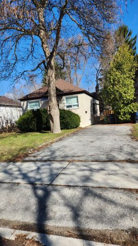 For Lease - 126 Olive Avenue, Toronto, Ontario - Photo 3