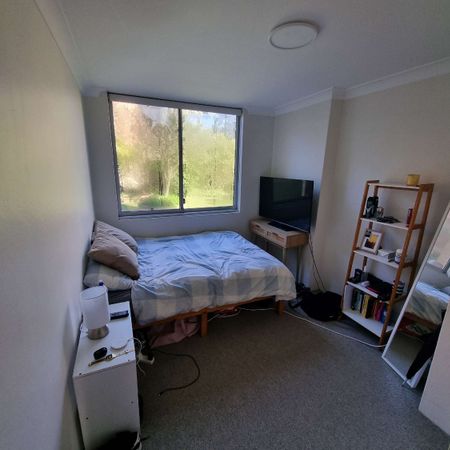 Bondi - Photo 3