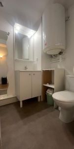 Location Appartement 1 pièce 27m² NANTES 44100 - Photo 4