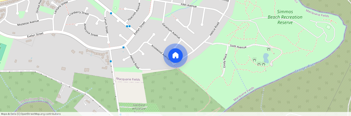 59 Helicia Road, Macquarie Fields, NSW 2564