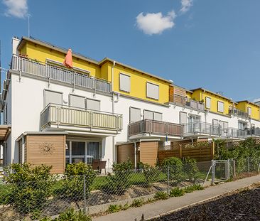Wohnung in Sierndorf - Photo 4