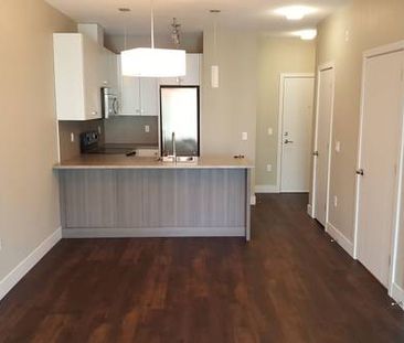 LINDY'S APTS - 406 - L406 - Photo 1