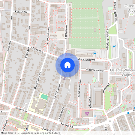 ul. Brzozowa 13a, Bogucice, Katowice, śląskie