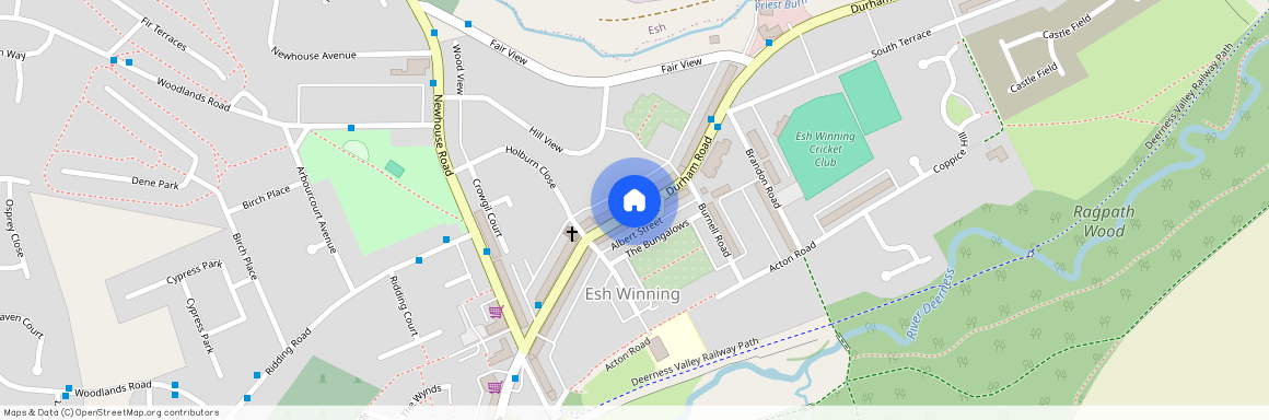 Albert Terrace, Esh Winning, Durham