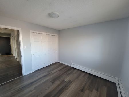 Modern and Spacious 2-Bedroom Apartment - SMALL PET FRIENDLY! - Photo 5