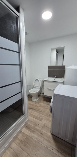 Location Appartement 1 pièce 20m² FOURMIES 59610 - Photo 2