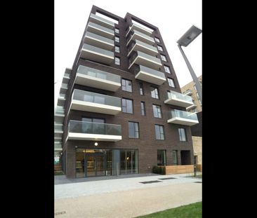 Studio Flat, The Moore Building, SE10 - Photo 4