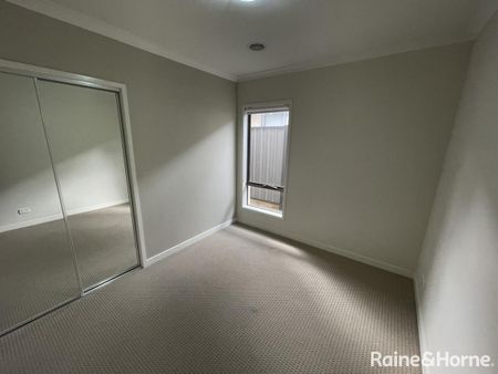 Blink and It's Gone - Photo 2