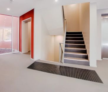 Standard Studio - Photo 5