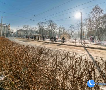 Studio w centrum| 2900 total| Plac inwalidów - Zdjęcie 4