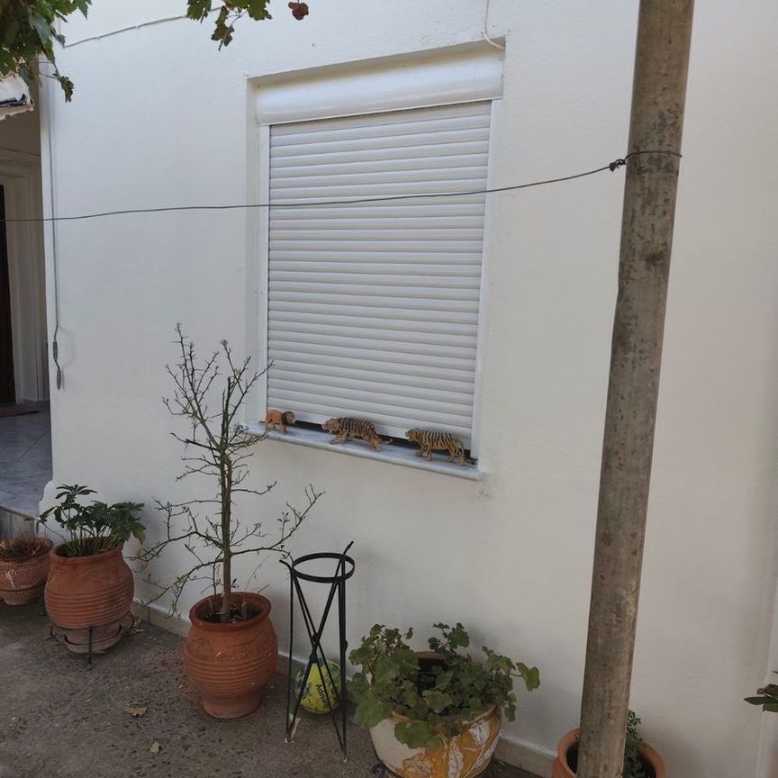 Διαμέρισμα για ενοικίαση Στρατώνες - Καραμανλή - Αμυγδαλιές (Τρίκαλα) - Φωτογραφία 1