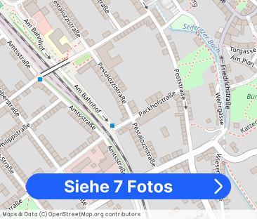 Möblierte Einraumwohnung in einer schönen Altbauvilla in Meerane - Foto 1